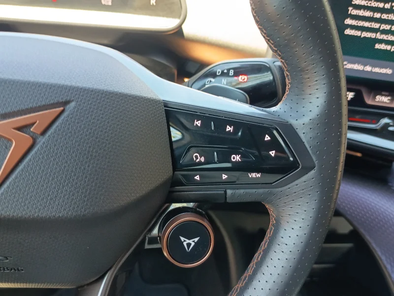 Imagen de cupra Tavascan