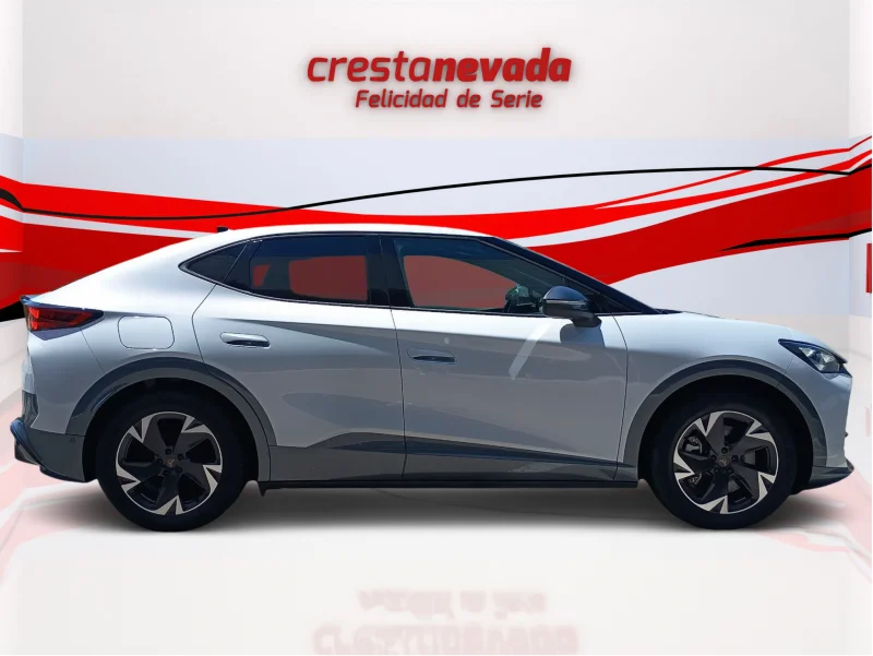 Imagen de cupra Tavascan