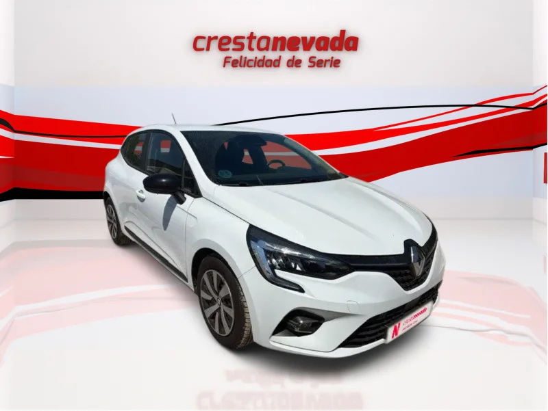 Imagen de Renault Clio