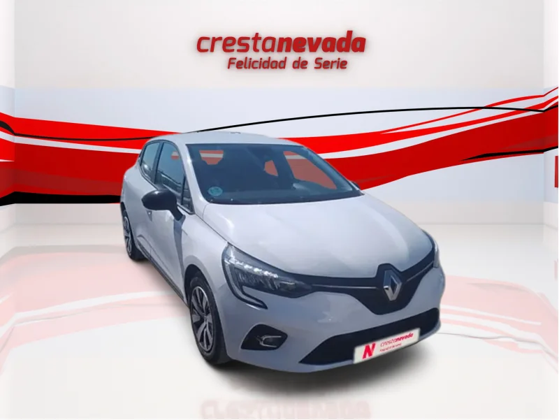 Imagen de Renault Clio