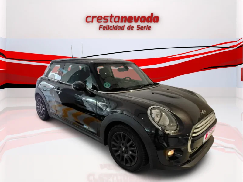 Imagen de Mini MINI
