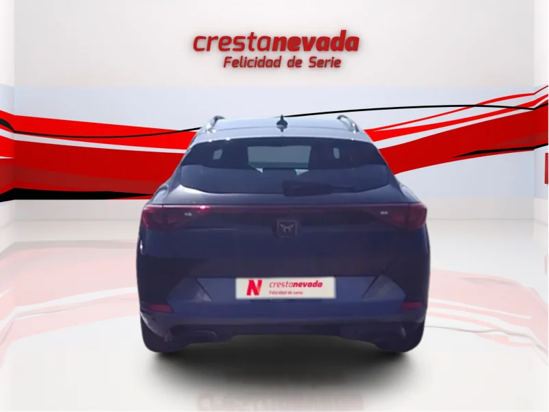 Imagen de cupra Formentor