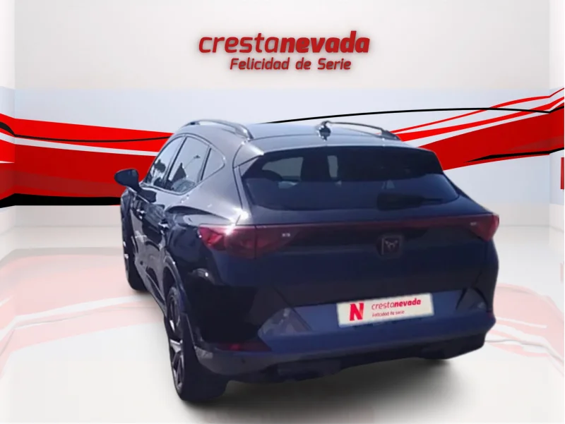 Imagen de cupra Formentor