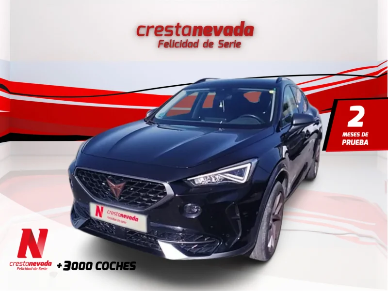 Imagen de cupra Formentor