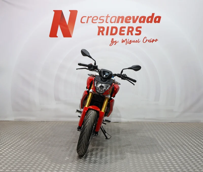 Imagen de BMW G 310 R