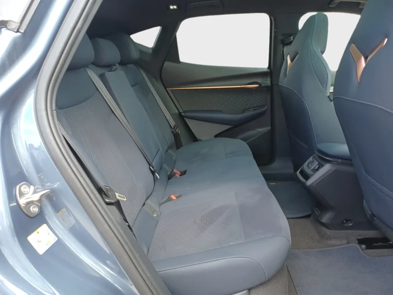 Imagen de cupra Tavascan