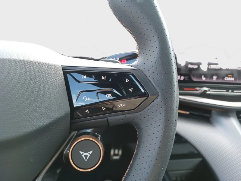 Imagen de cupra Tavascan