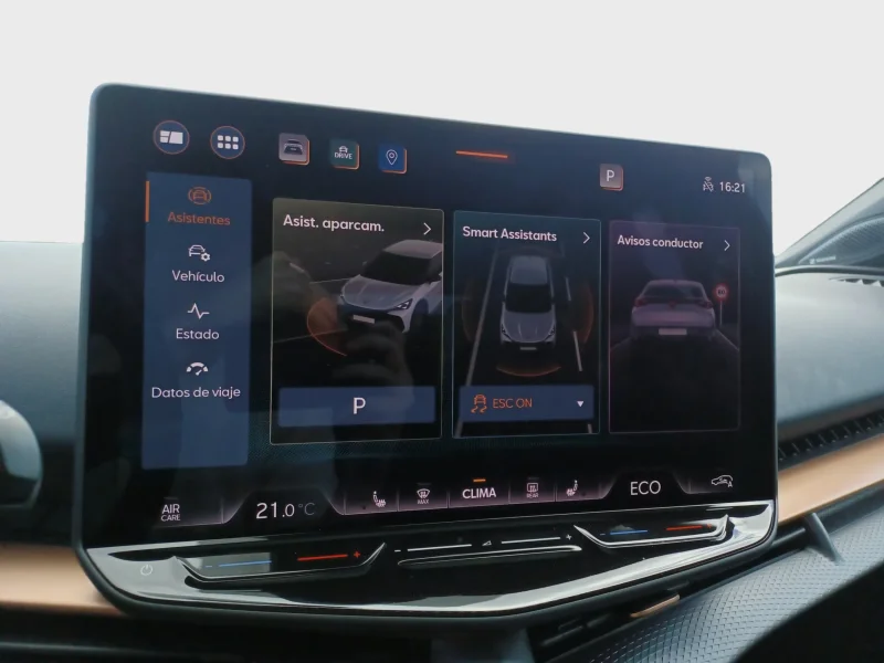 Imagen de cupra Tavascan