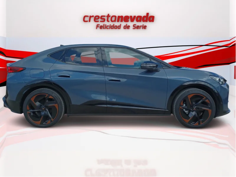 Imagen de cupra Tavascan