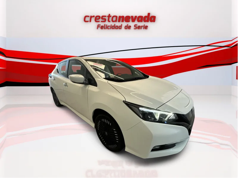 Imagen de NISSAN LEAF