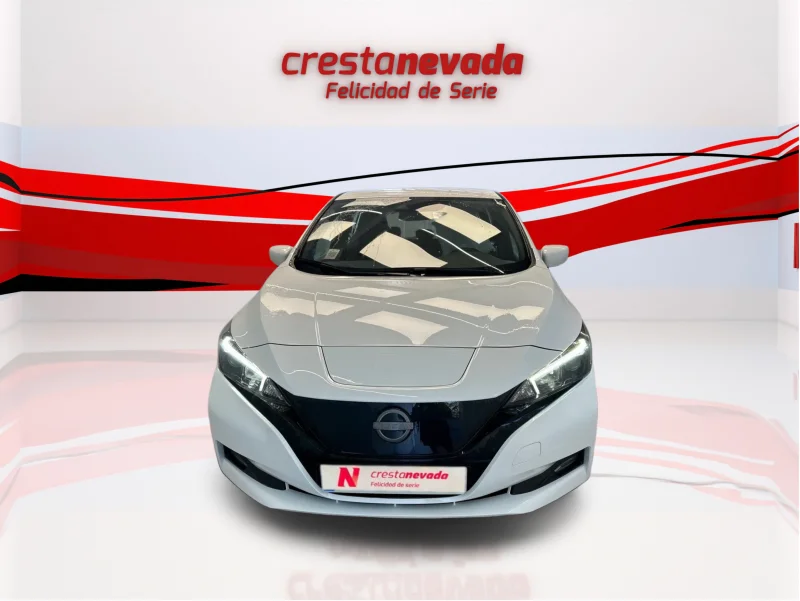 Imagen de NISSAN LEAF