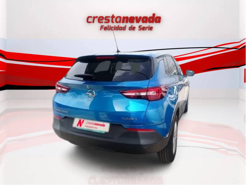 Imagen de Opel Grandland X