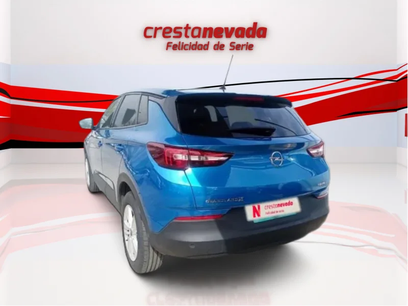 Imagen de Opel Grandland X