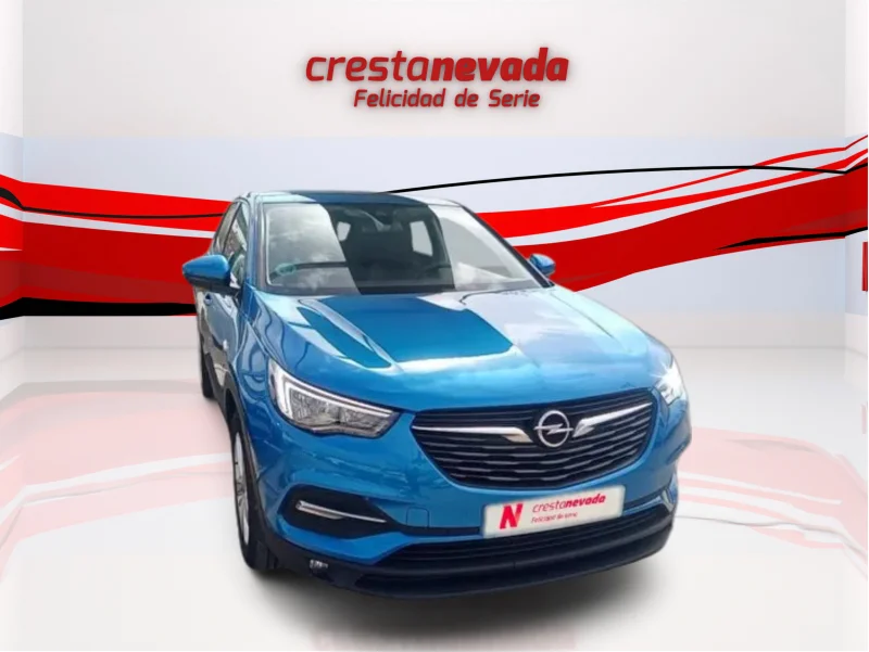 Imagen de Opel Grandland X