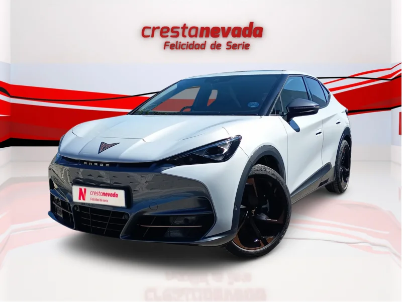 Imagen de cupra Tavascan