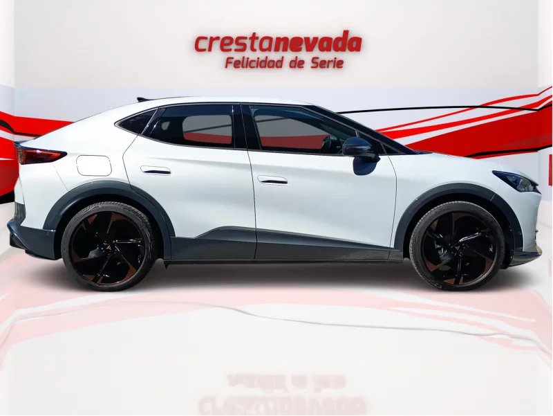 Imagen de cupra Tavascan
