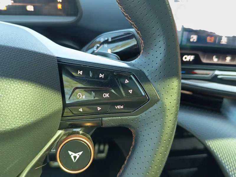 Imagen de cupra Tavascan
