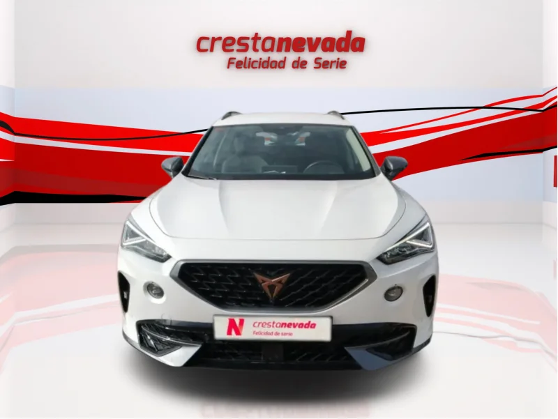Imagen de cupra Formentor