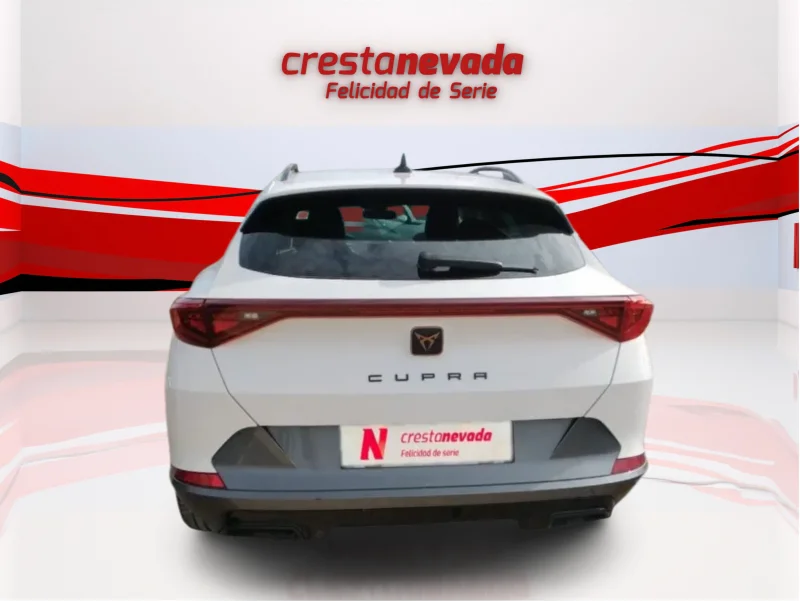 Imagen de cupra Formentor