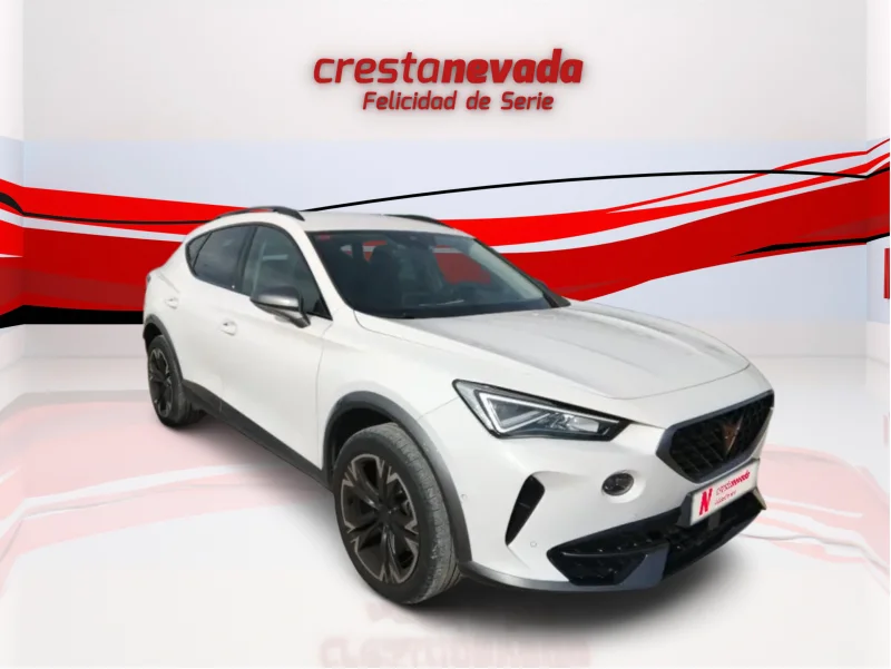 Imagen de cupra Formentor