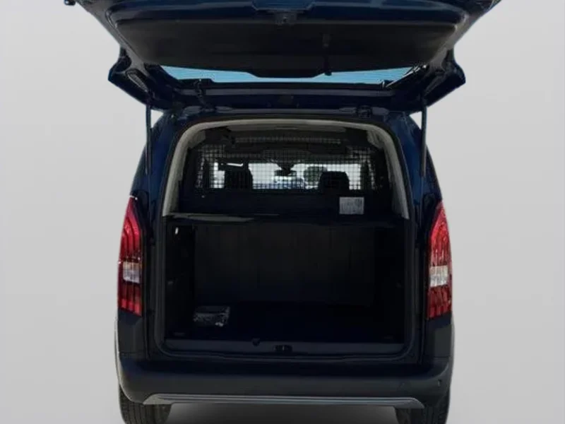 Imagen de Peugeot Rifter