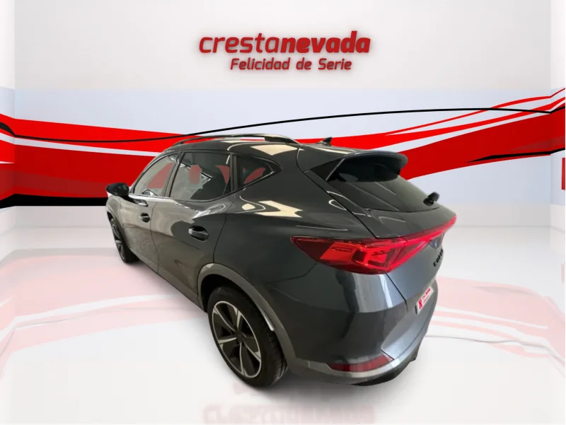 Imagen de cupra Formentor