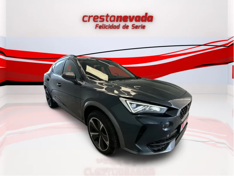 Imagen de cupra Formentor