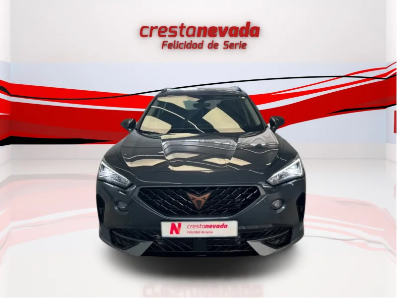 Imagen de cupra Formentor