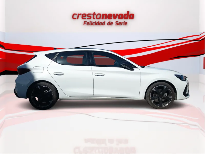 Imagen de cupra León