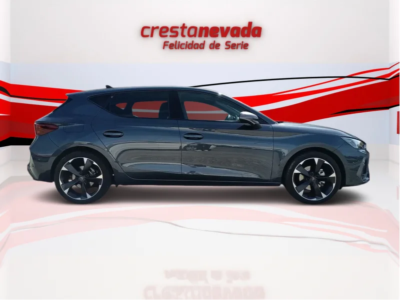 Imagen de cupra León