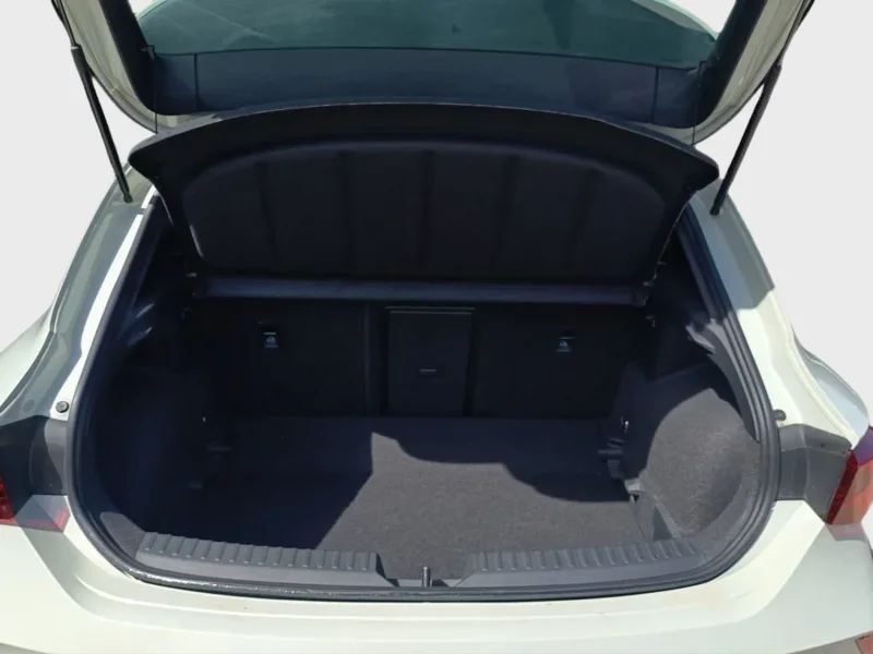 Imagen de cupra León