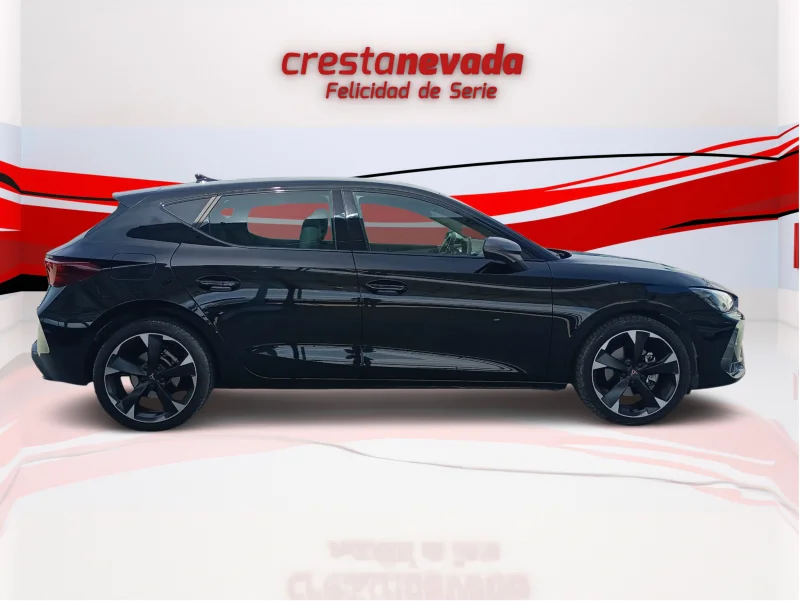 Imagen de cupra León