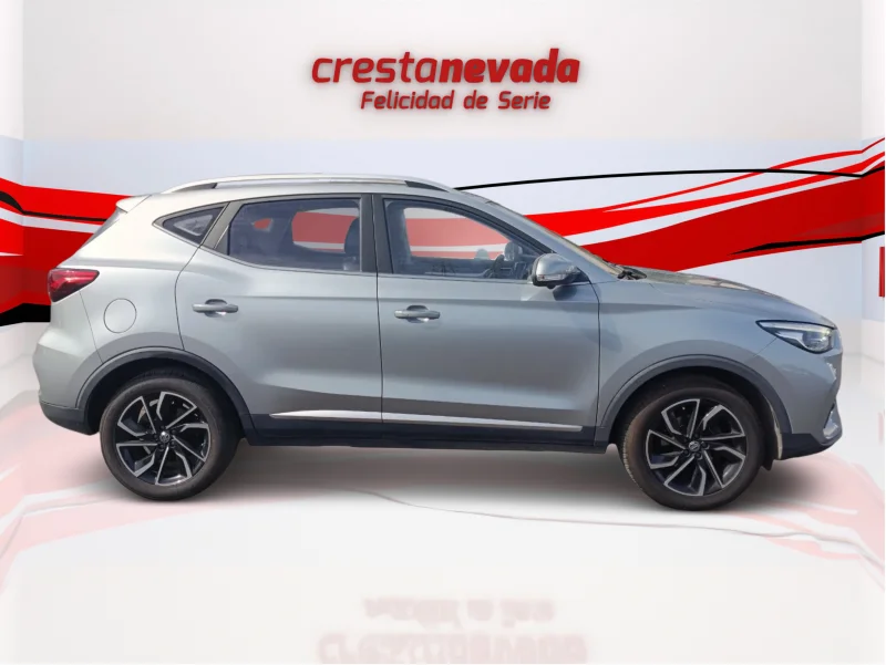 Imagen de Mg ZS