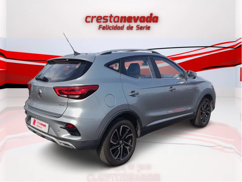Imagen de Mg ZS