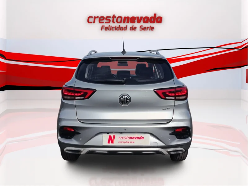 Imagen de Mg ZS