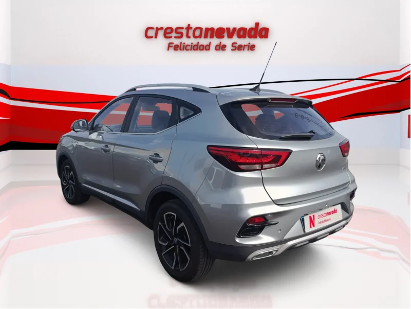 Imagen de Mg ZS