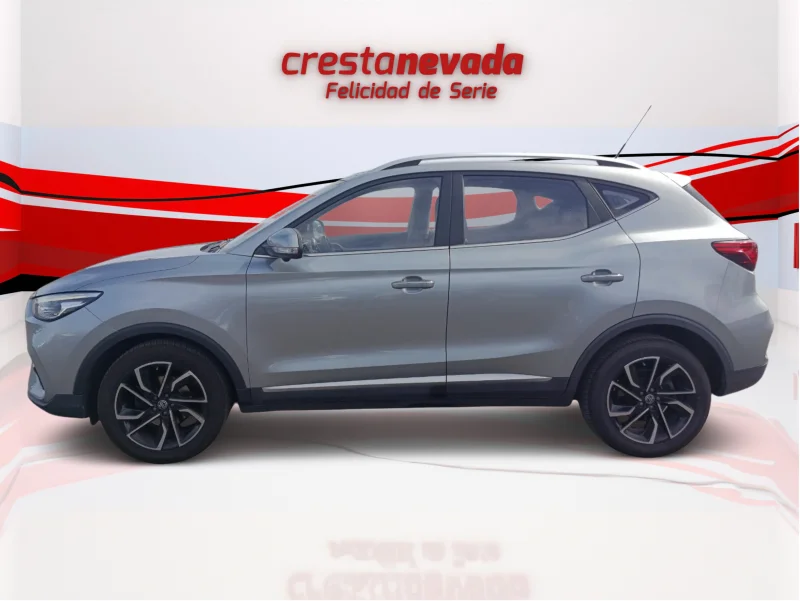 Imagen de Mg ZS