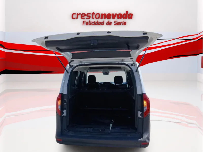 Imagen de mercedes-benz Citan
