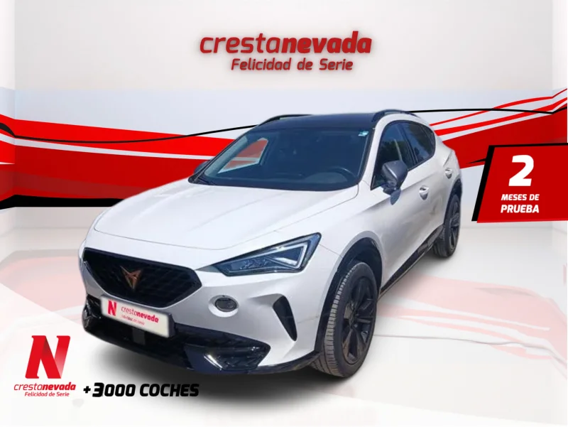 Imagen de cupra Formentor