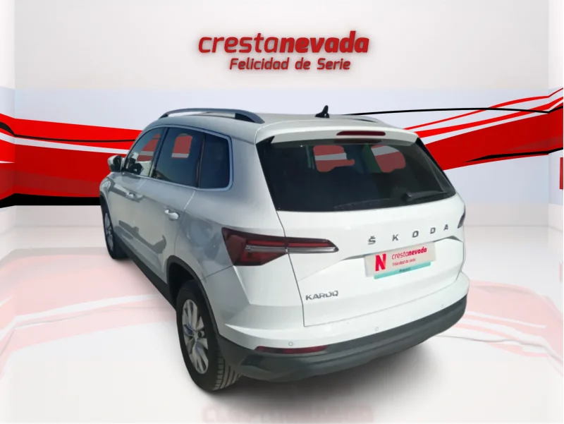 Imagen de Skoda Karoq