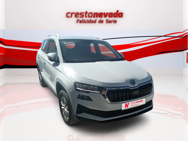 Imagen de Skoda Karoq