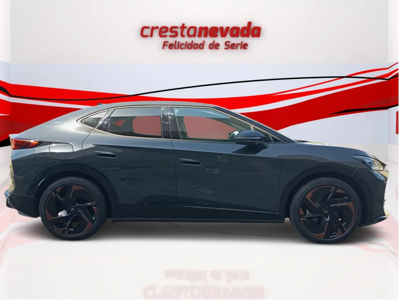 Imagen de cupra Tavascan