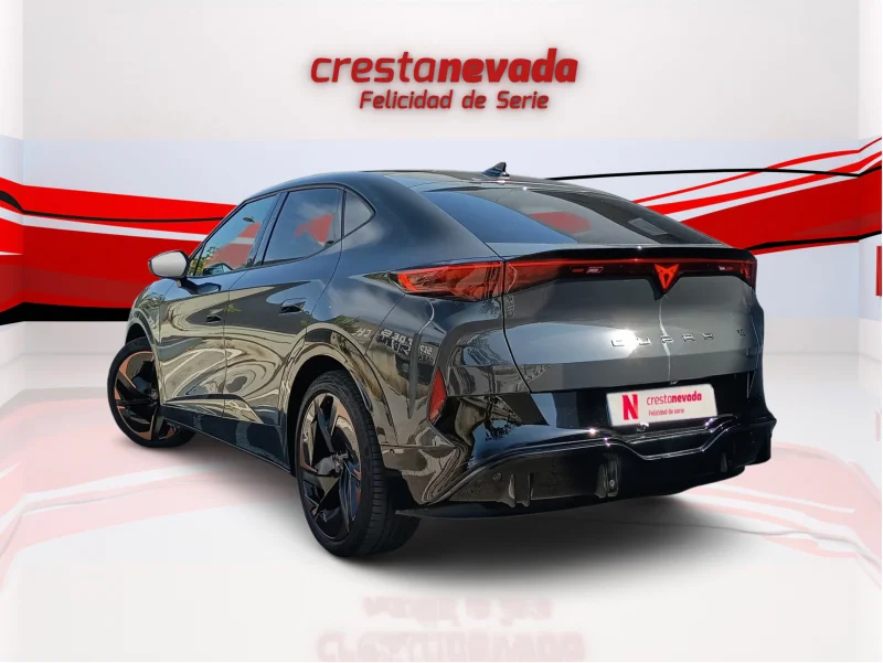 Imagen de cupra Tavascan