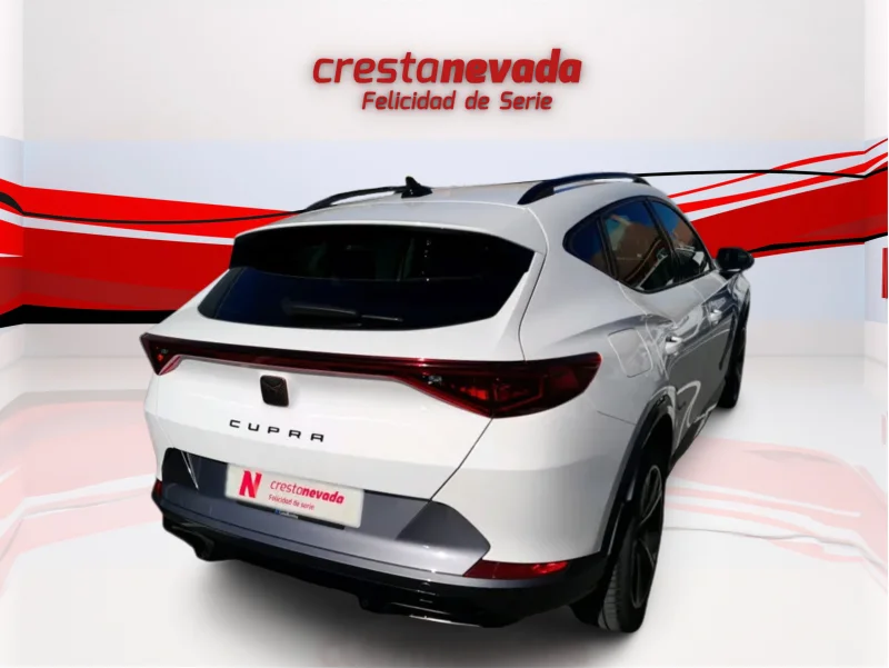 Imagen de cupra Formentor