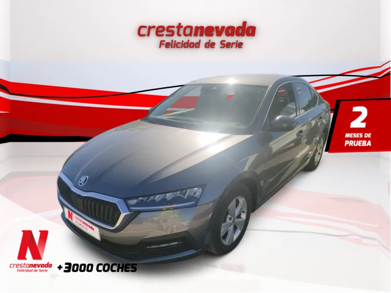 Imagen de Skoda Octavia