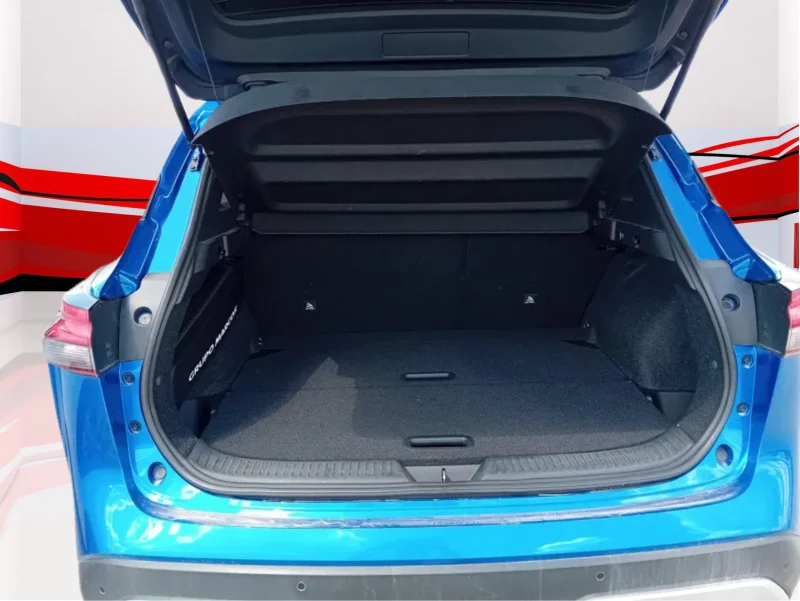 Imagen de NISSAN QASHQAI