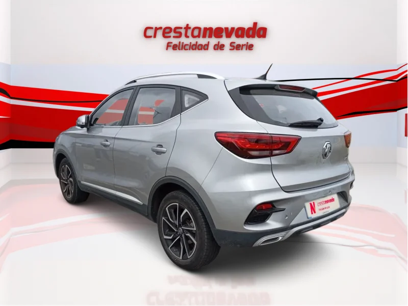 Imagen de Mg ZS