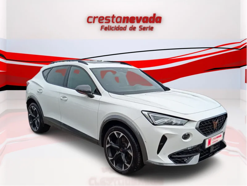Imagen de cupra Formentor