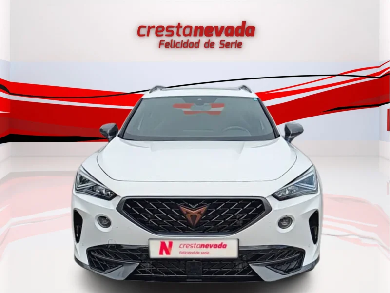 Imagen de cupra Formentor