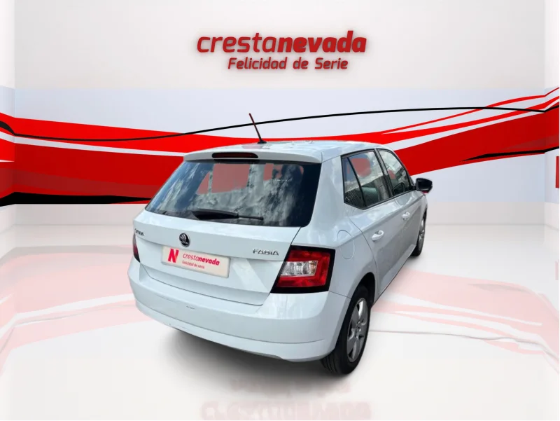 Imagen de Skoda Fabia